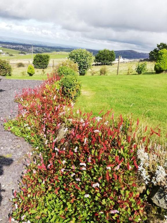 Bwthyn Plas Hafod Cottage Llanllyfni Exterior photo